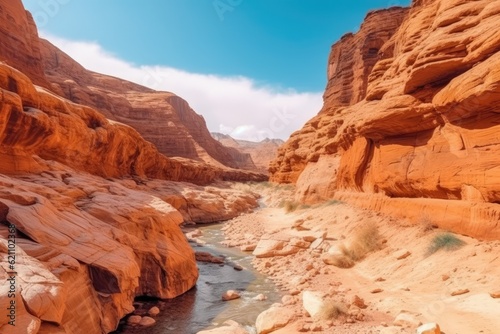 A landscape panorama of the dry canyon. The desert with red rock canyons. In the desert  there is a canyon. Red Rock Canyons desert