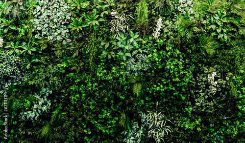 Herb wall, plant wall, natural green wallpaper and background. nature wall. Nature background of green forest
