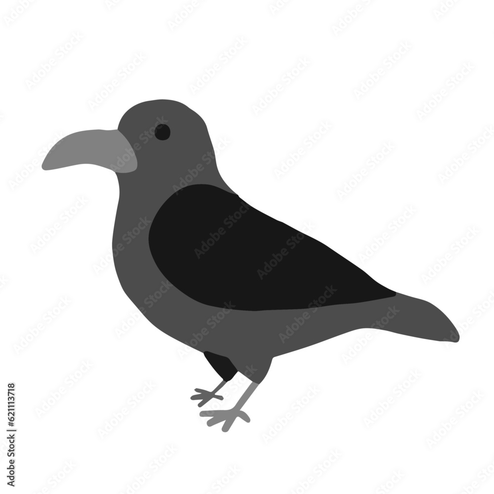 Obraz premium カラス