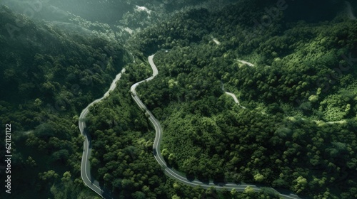 Drone images of the road, forest, and plain. made using generative AI tools