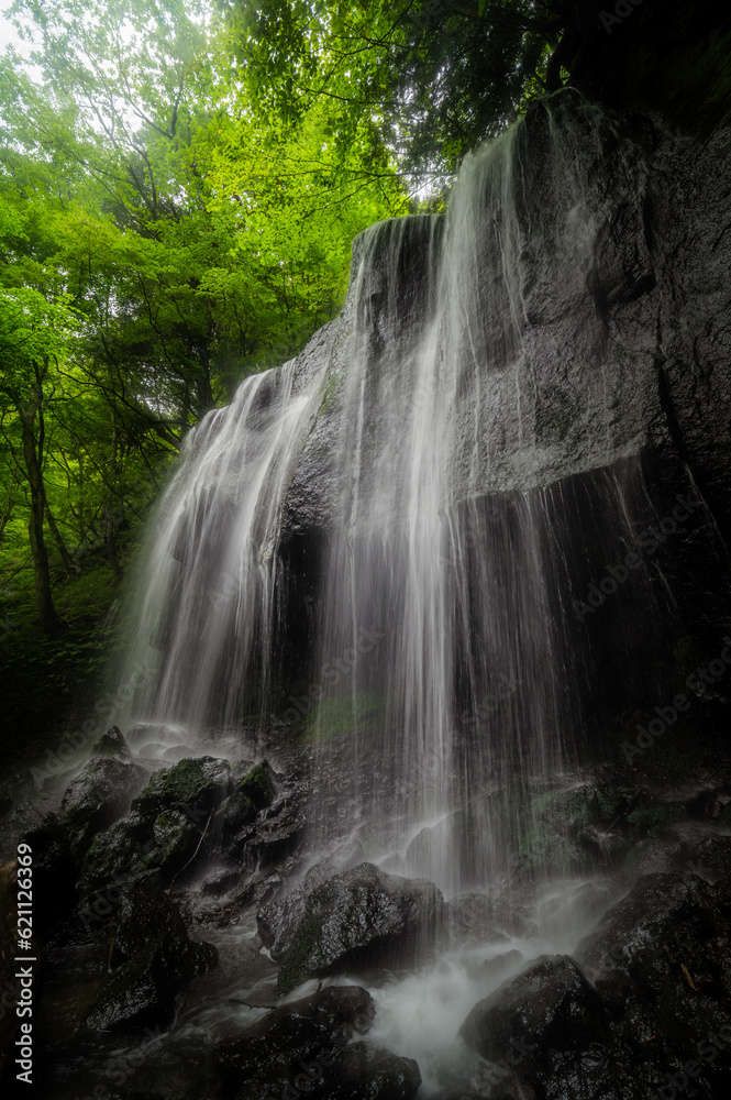Obraz premium 福島県猪苗代町 新緑の達沢不動滝