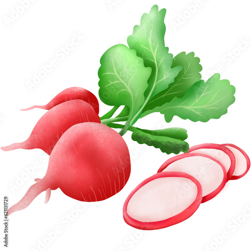 Radish