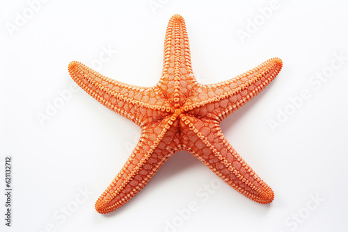 A vibrant orange or coral colored starfish showcasing marine life, isolated on a white background