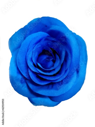 blue rose made of cloth on white background