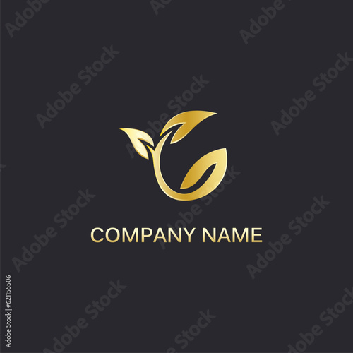 Gold leaf seed logo vector image