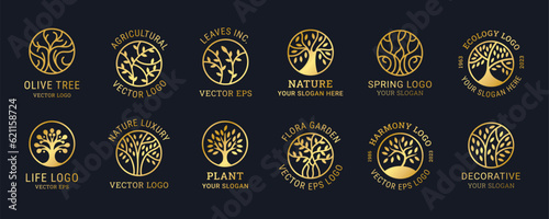Logo tree. Life, oak circle icon, line olive nature symbol, botanic branch and leaves, eco sign. Emblem or badge golden outline isolated plant elements. Garden logotype. Vector abstract design