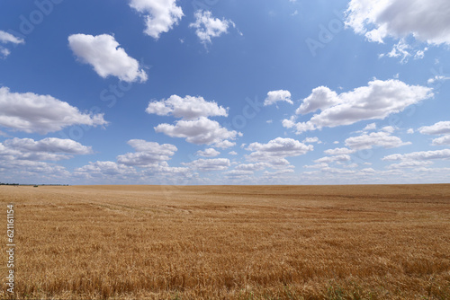  wheat fields near Pithiviers city. Centre-Val-De-Loire region