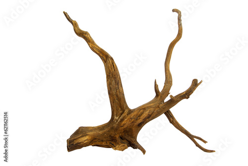 Dry branch driftwood for aquarium isolated on transparent background. PNG transparency
