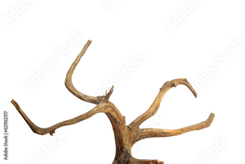 Horns driftwood branches isolated on transparent background. PNG transparency