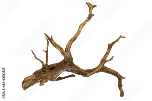 Artistic driftwood dry tree trunk for decoration isolated on transparent background. PNG transparency
