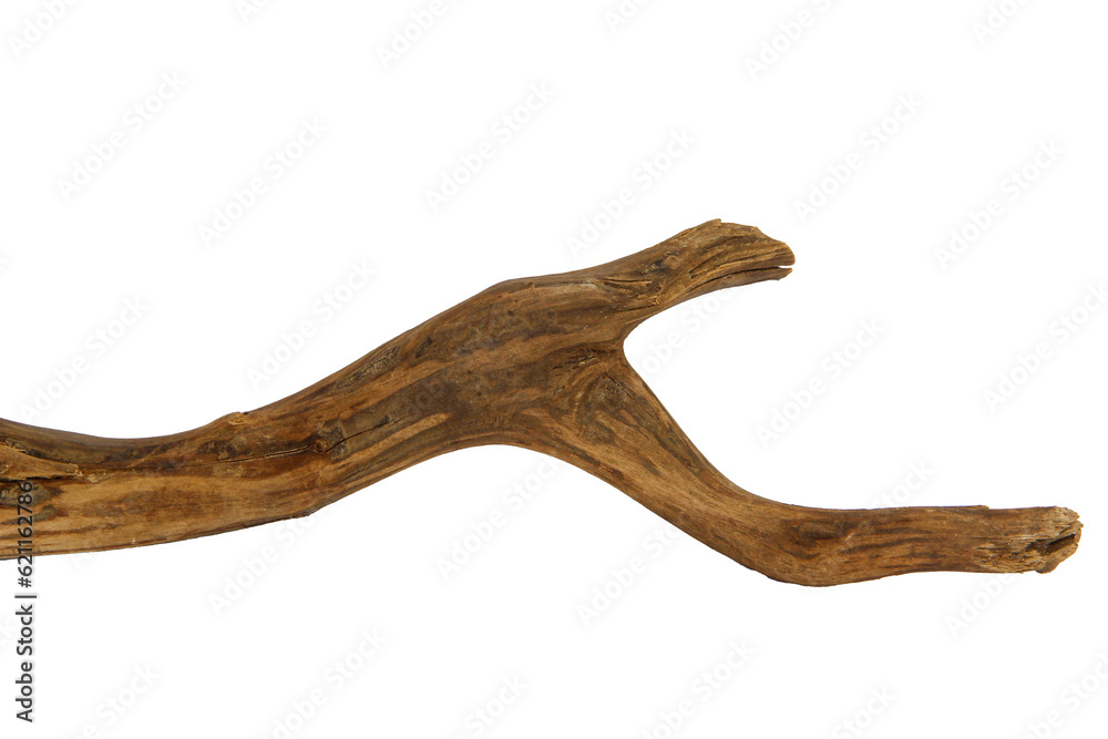 Pieces of river brown driftwood isolated on transparent background. PNG transparency Pieces of river brown driftwood isolated on transparent background. PNG transparency