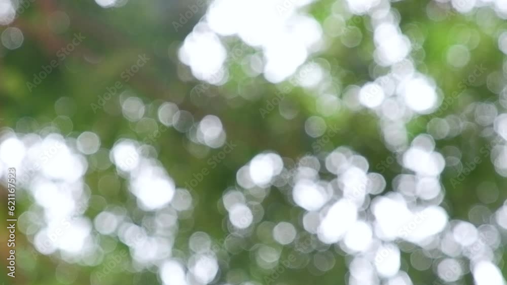 green bokeh green bokeh