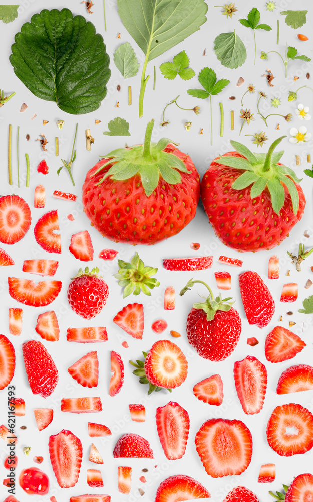 Strawberry Slice and Leaf Collection Strawberry Slice and Leaf Collection