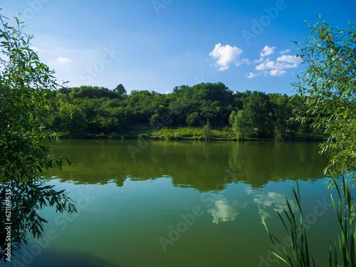 Fototapeta Naklejka Na Ścianę i Meble -  lake and trees