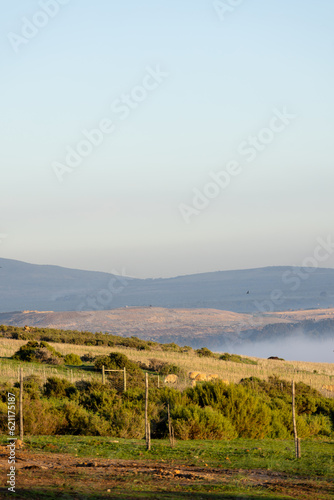 Vertical image of green countryside and agricultural fields on sunny day