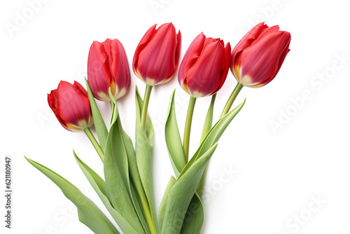 red tulips isolated on white generative AI © Micro