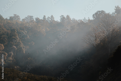 fog in the mountains