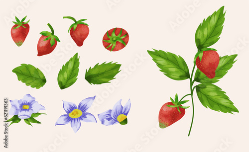 Fototapeta Naklejka Na Ścianę i Meble -  Watercolor set of red strawberries with leaves. Hand drawn food illustration. Summer sweet and bright fruits and berries