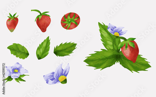 Watercolor set of red strawberries with leaves. Hand drawn food illustration. Summer sweet and bright fruits and berries