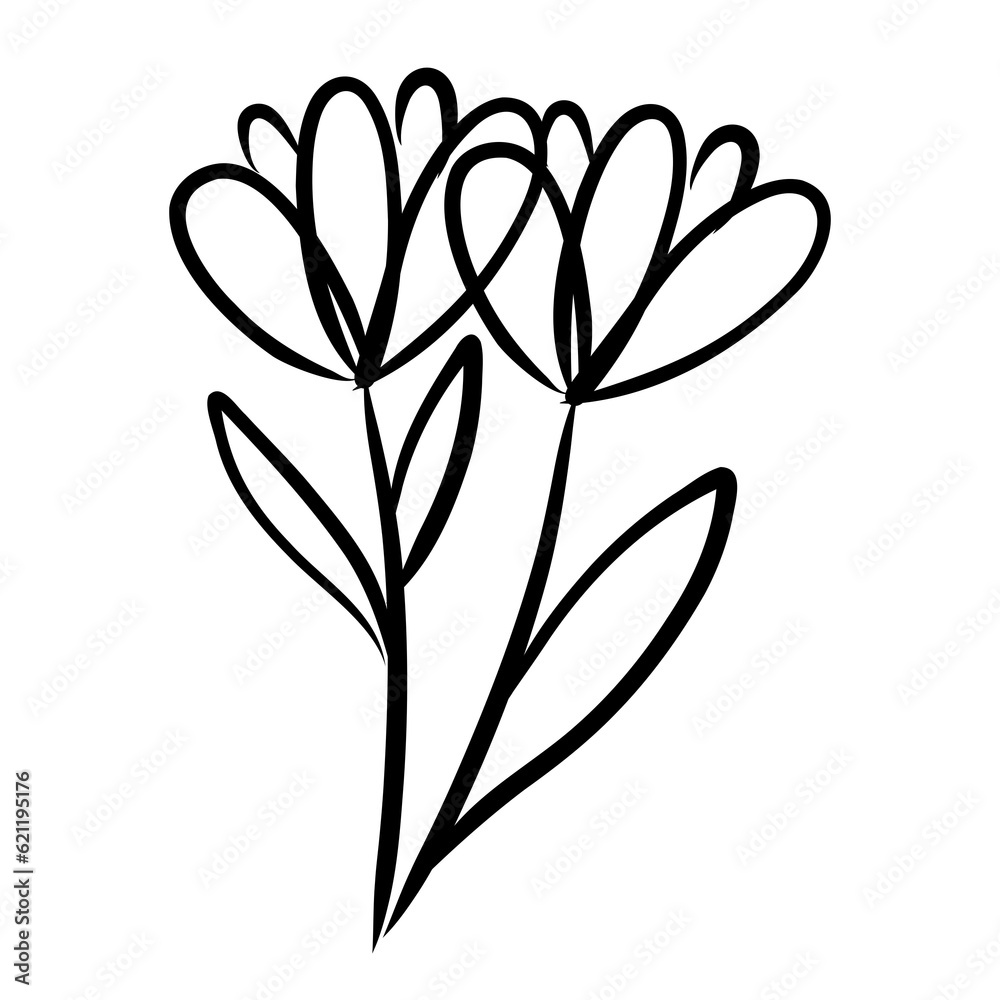flowers flowers