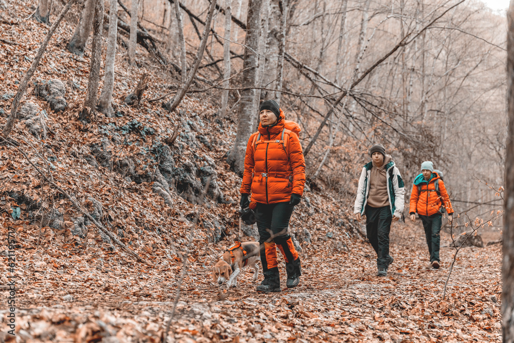 Boys walks along a mountain trail