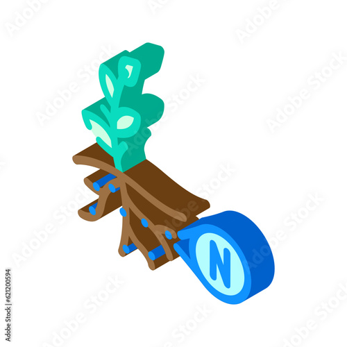 nitrogen fixation environmental isometric icon vector. nitrogen fixation environmental sign. isolated symbol illustration