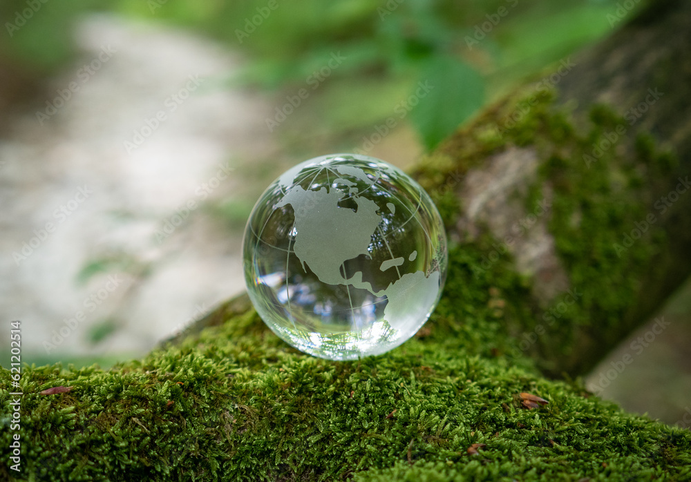 glass earth globe in forest glass earth globe in forest