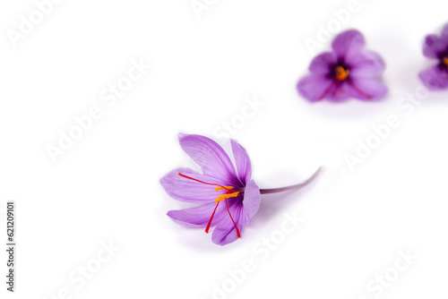 Saffron is a spice derived from the flower of Crocus sativus, commonly known as the "saffron crocus". © meisam