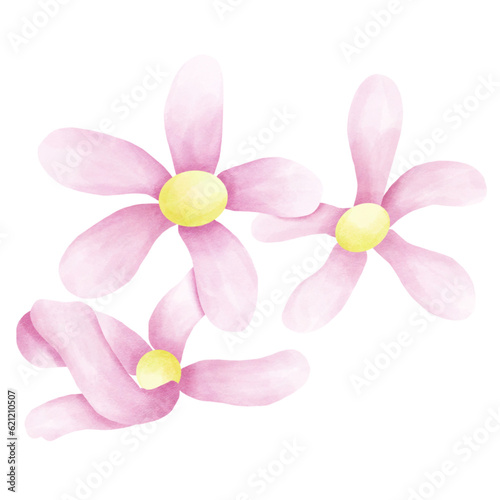 Flower painting designs and coloring to add color.