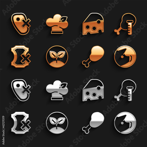 Set Sprout, Genetically modified chicken, Pig, Chicken leg, No leather, Cheese, meat and Vegan food diet icon. Vector