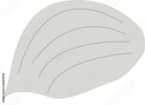 Garlic Clove Illustration