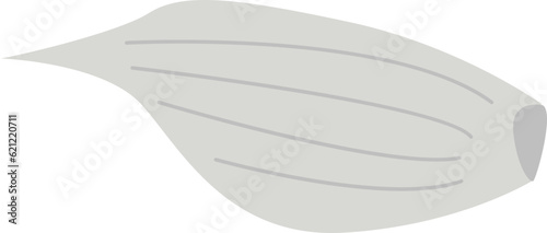 Garlic Cloves Illustration