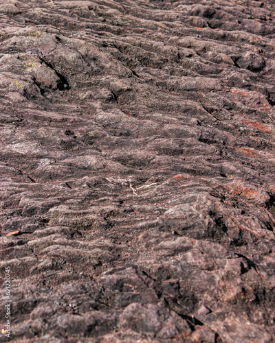 Texture of Merlin's Forest, Brocéliande