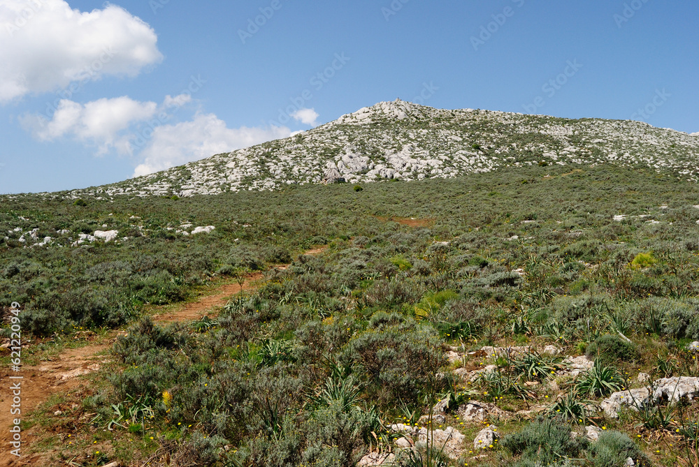 Veduta del gruppo montuoso del Montalbo, sullo sfondo Punta Cupetti