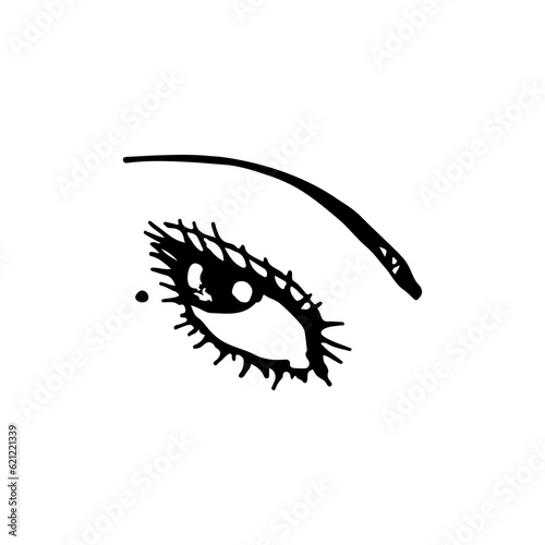 vector illustration of female eye with eyebrow