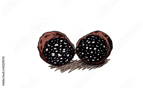 Color vector salami sausage isolated on white background, butchery product. Meat element for design