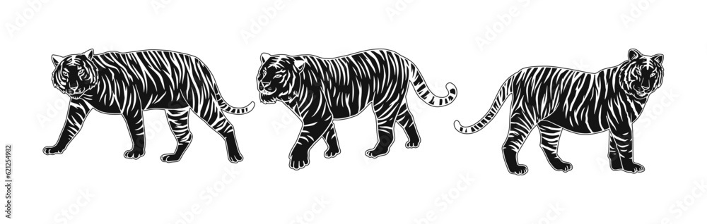 Obraz premium tiger vector illustration illustration with black block consisting of three images