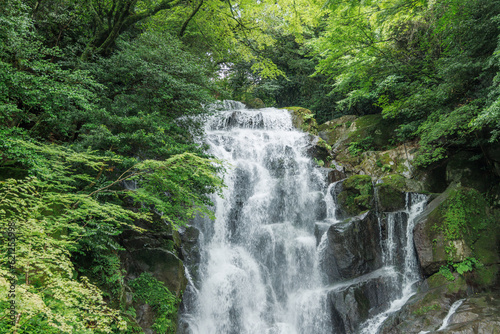 福岡県にあるマイナスイオンたっぷりの滝（糸島　白糸の滝） photo