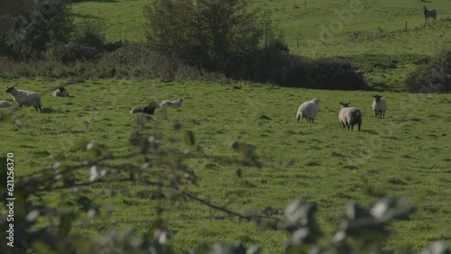 Landschaft in England