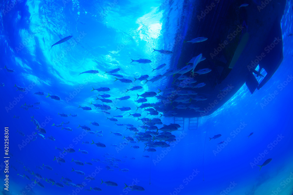 underwater scene with boat