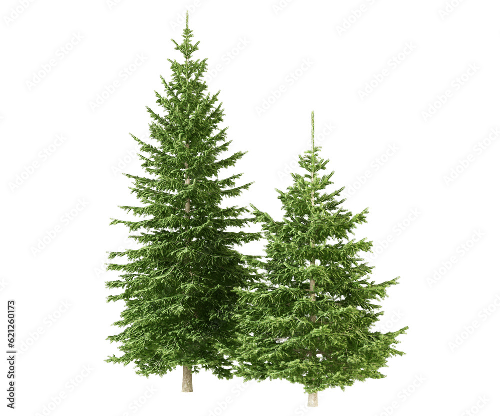 Fototapeta premium christmas tree isolated on white