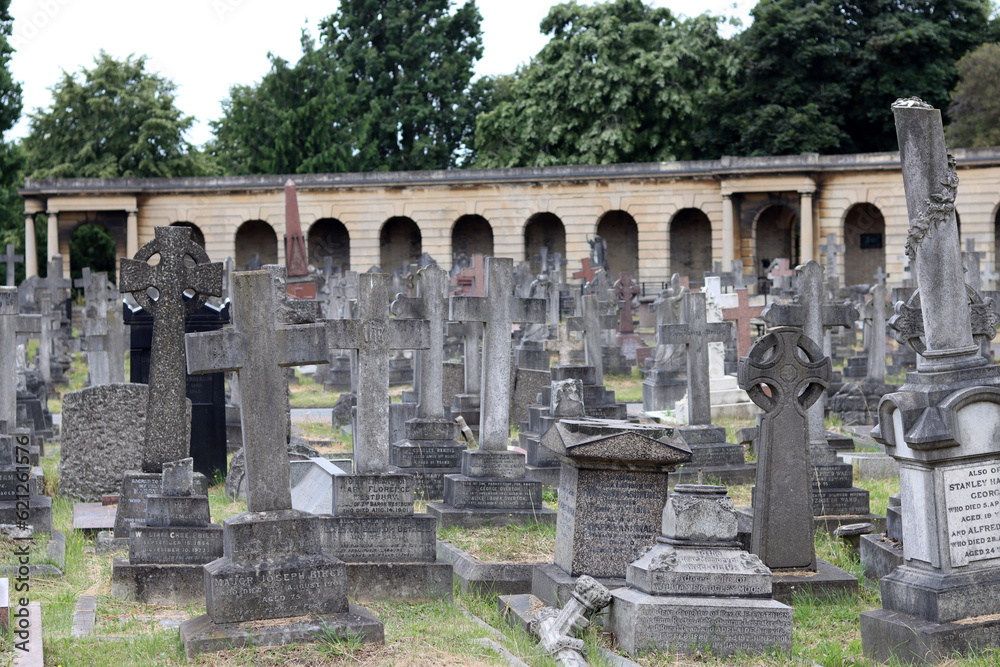 Fototapeta premium Brompton cemetery in London UK. Picturesque old cemetery in summer day. 