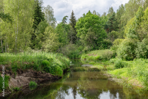 Small wild river Seda in summer with lush greens all over in Burtnieki in July in Summer