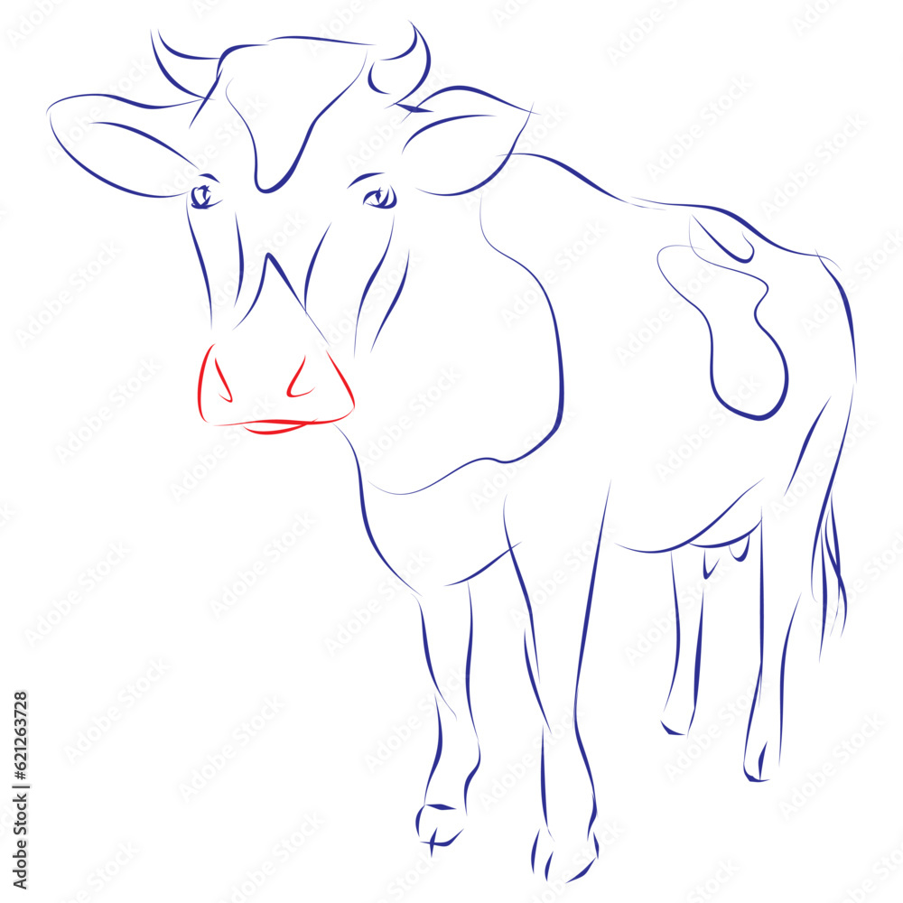 Continuous line drawing of a cow. Hand drawn, vector illustration