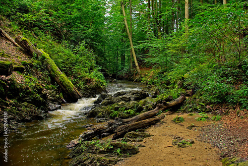 Die Prießnitz, Dresdner Heide, Dresden-Klotzsche, Sachsen, Deutschland photo