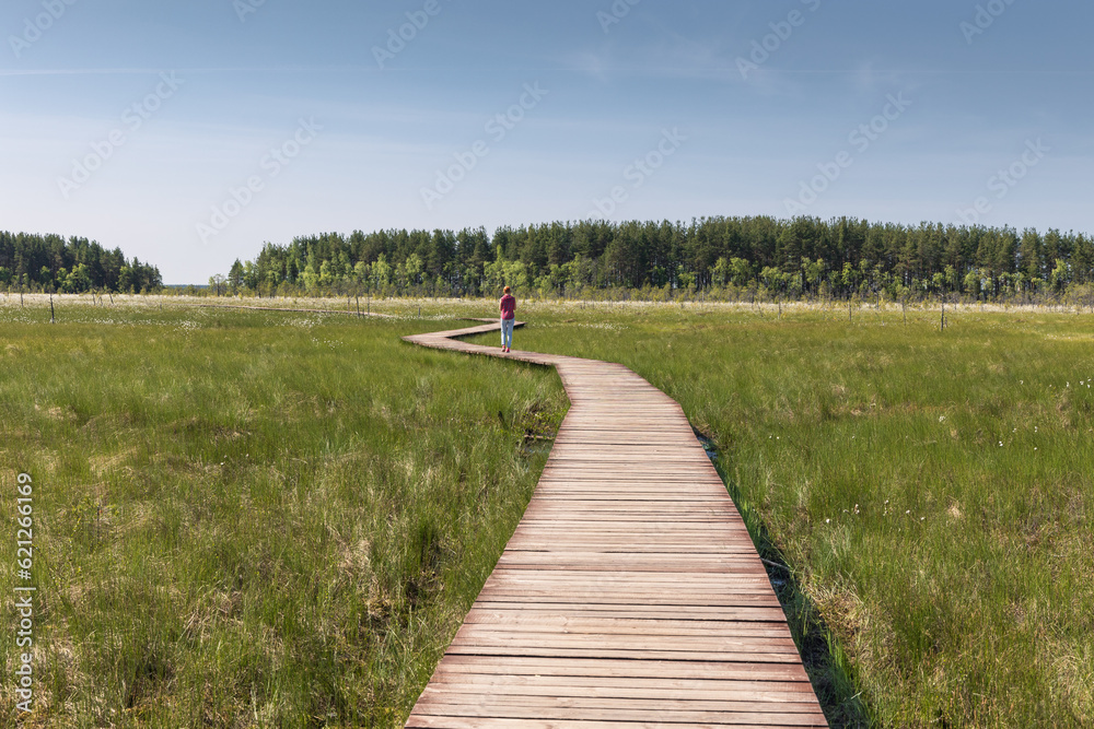 Woman walks through vast wetland covered with fresh grass along narrow wooden pathway at sunny day