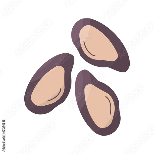 mussels oysters seafood purple set shell elements