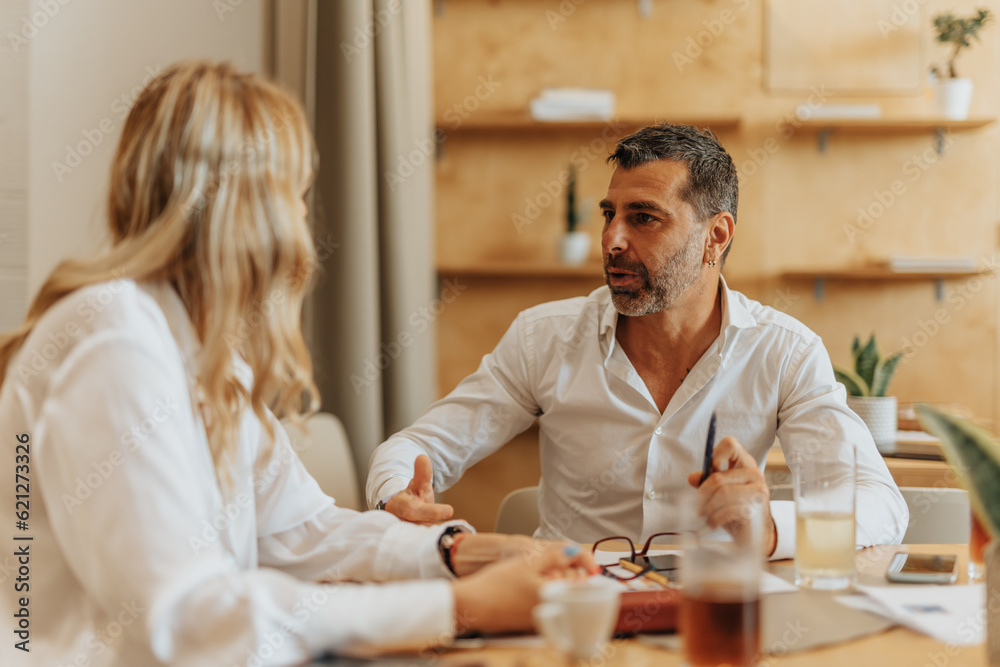 Beautiful middle-aged business partners having a conversation about their company Beautiful middle-aged business partners having a conversation about their company