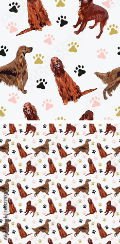 Seamless Irish setter dogs with paws pattern, holiday texture. Square format, t-shirt, poster, packaging, textile, socks, textile, fabric, decoration, wrapping paper. Trendy hand-drawn dogs wallpaper.