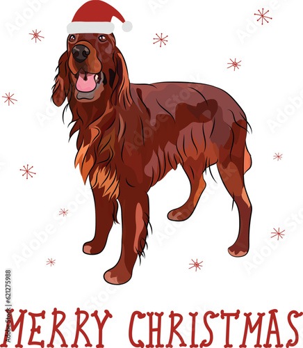 Irish setter dog drawing. Cute dog character in a cute pose. Holiday Design for printing, adorable dog cartoon greeting card. Adorable puppy, a funny holiday setter in a hat. Christmas greeting card.